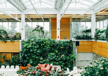 DOLLAR TAG RECORDS INC.