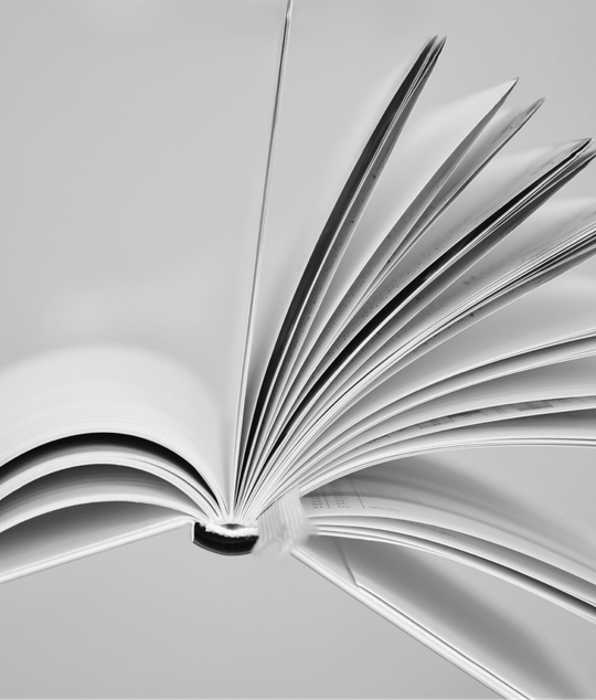 DOLLAR TAG RECORDS INC.